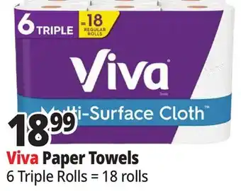 Ocean State Job Lot Viva Paper Towels offer