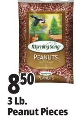 Ocean State Job Lot Morning Song PEANUTS offer