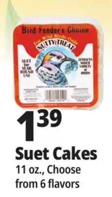 Ocean State Job Lot Suet Cakes offer