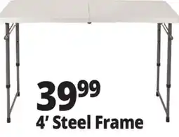 Ocean State Job Lot 4' Steel Frame offer