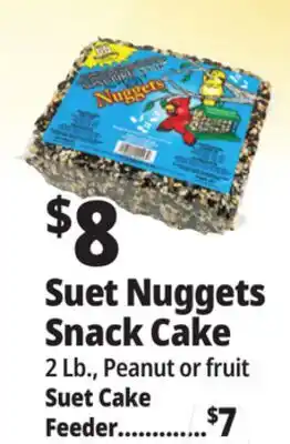 Ocean State Job Lot Suet Nuggets Snack Cake offer