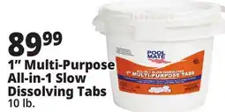 Ocean State Job Lot Pool Mate All-In-1 Slow-Dissolving 1 Multi-Purpose Tabs 10 lbs offer