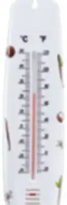Ocean State Job Lot Outdoor Living Accents Indoor/Outdoor Thermometer offer