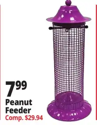 Ocean State Job Lot Peanut Feeder offer