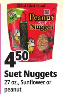 Ocean State Job Lot Suet Nuggets offer