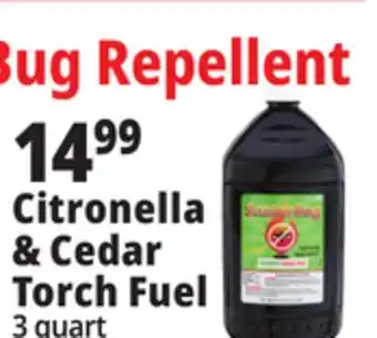 Ocean State Job Lot Citronella & Cedar Torch Fuel offer