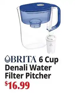 Ocean State Job Lot BRITA 6 Cup Denali Water Filter Pitcher offer