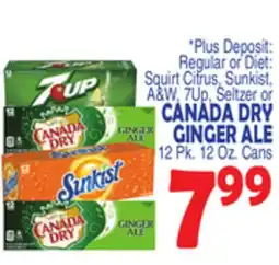 Bravo Supermarkets CANADA DRY GINGER ALE offer