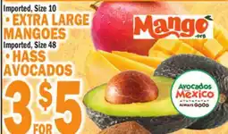 Bravo Supermarkets EXTRA LARGE MANGOES Imported, Size 10, HASS AVOCADOS Imported, Size 48 offer