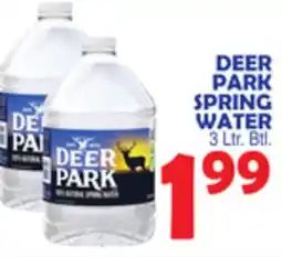 Bravo Supermarkets DEER PARK SPRING WATER offer