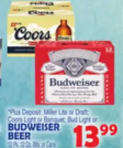 Bravo Supermarkets BUDWEISER BEER offer