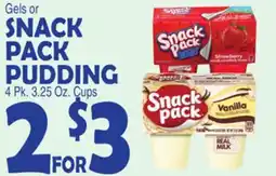 Bravo Supermarkets Gels or SNACK PACK PUDDING offer