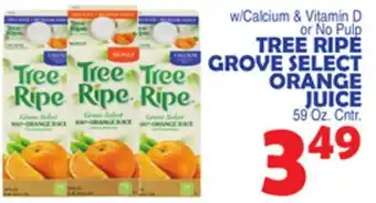 Bravo Supermarkets TREE RIPE GROVE SELECT ORANGE JUICE offer