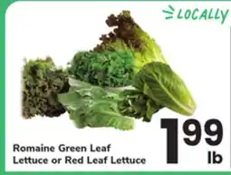 ACME Romaine Green Leaf Lettuce or Red Leaf Lettuce offer