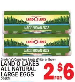 C Town LAND O LAKES ALL NATURAL LARGE EGGS offer