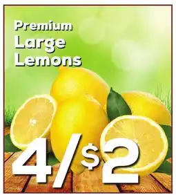 DeCicco & Sons Large Lemons offer