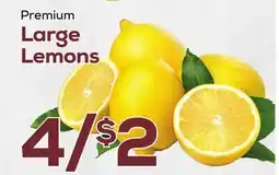 DeCicco & Sons Premium Large Lemons offer