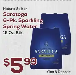 DeCicco & Sons Saratoga 6-Pk. Sparkling Spring Water offer