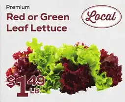 DeCicco & Sons Red or Green Leaf Lettuce offer