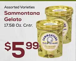 DeCicco & Sons Sammontana Gelato offer