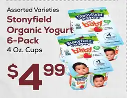DeCicco & Sons Stonyfield Organic Yogurt 6-Pack offer