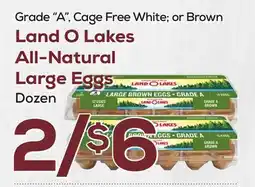 DeCicco & Sons Land O Lakes All-Natural Large Eggs offer