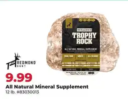 Runnings REDMOND All Natural Mineral Supplement offer