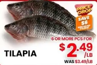 Seafood City Tilapia offer