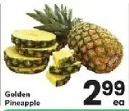 ACME Golden Pineapple offer