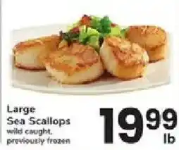 ACME Large Sea Scallops offer