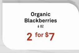 Standard Market Organic Blackberries offer