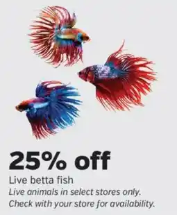 Pet Supplies Plus Live betta fish offer