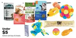 Pet Supplies Plus Select cat toys & treats offer