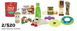 Pet Supplies Plus Select dog toys & treats offer