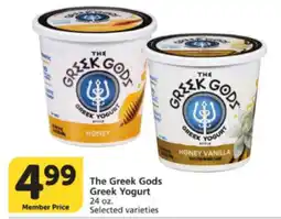 Albertsons The Greek Gods Greek Yogurt offer