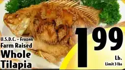 Butera U.S.D.C. - Frozen Farm Raised Whole Tilapia offer