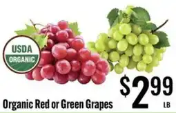 Jons International Organic Red or Green Grapes offer