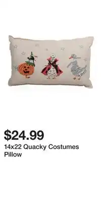 TJ Maxx 14x22 Quacky Costumes Pillow offer