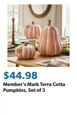 Sam's Club Member's Mark Terra Cotta Pumpkins, Set of 3 offer