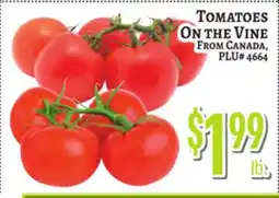Trade Fair Supermarket TOMATOES ON THE VINE offer