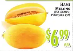 Trade Fair Supermarket HAMM MELONS offer