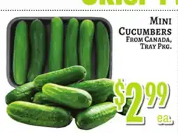 Trade Fair Supermarket MINI CUCUMBERS offer