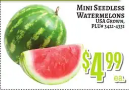 Trade Fair Supermarket MINI SEEDLESS WATERMELONS offer