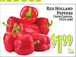 Trade Fair Supermarket RED HOLLAND PEPPERS offer