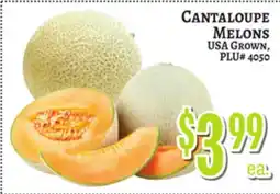 Trade Fair Supermarket CANTALOUPE MELONS offer