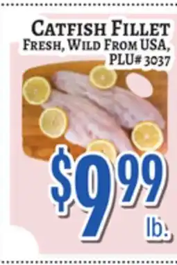 Trade Fair Supermarket CATFISH FILLET offer