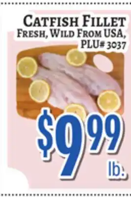 Trade Fair Supermarket CATFISH FILLET offer