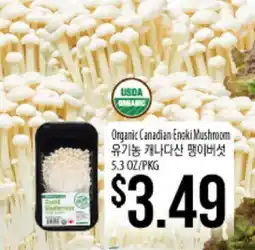 Hmart Organic Canadian Enoki Mushroom offer