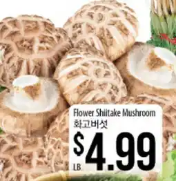 Hmart Flower Shiitake Mushroom offer