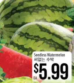 Hmart Seedless Watermelon offer